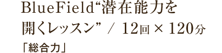 BlueField 潜在能力を開くレッスン 12回×120分