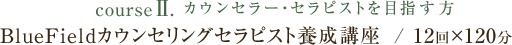 course2.カウンセラー・セラピストを目指す方  BlueFieldカウンセリングセラピスト養成講座  / 12回×120分